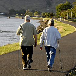 Эмне үчүн аялдар эркектерден көп жашайт?