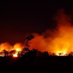 Гавайидеги өрттөн каза болгондордун саны 53 адамга жетти