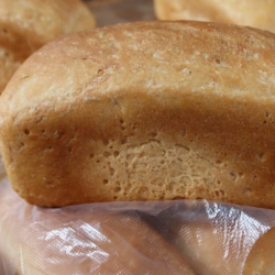 Нарында күнүнө 300-400 нан чыгарган наабайкана иштей баштады