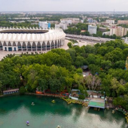 Ташкенде ар бир даракка паспорт берилип, аны багууга адам бекитет