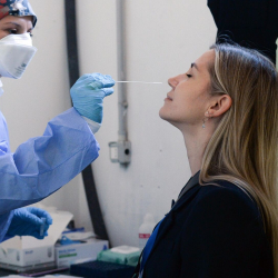 Бир ай ичинде дүйнөдө коронавируска чалдыккандар 80 пайызга көбөйдү