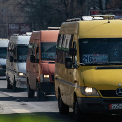 Мэрия: Бишкекте троллейбус каттамдары ордуна маршруткалар чыга баштады