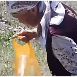 ВИДЕО - Бишкек - Ош жолунда улгайган апанын таштандыны тазалап жаткан видеосу тарады