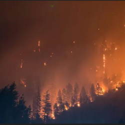 Гавайидеги өрт АКШнын соңку тарыхындагы эң көп адам өлүмүнө алып келген өрт болду