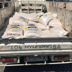 Коңшу өлкөдөн мыйзамсыз күрүч жүктөп келе жаткан жаран кармалды