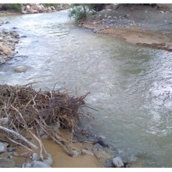 Жансыз денеси суудан табылып... Таласта аялы күйөөсүн өлтүргөнгө шектелүүдө