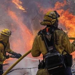 Калифорнияда токой өртүнөн улам калкты эвакуациялоо башталды