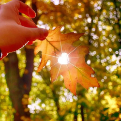 Сентябрь айында өлкөдө күтүлгөн аба ырайы