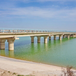 Сыр-Дарыяга бир заматта 11 адам чөгүп каза болду