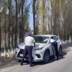 Инспекторлорго баш ийбеген айдоочу 41 миң сом айыпка жыгылды