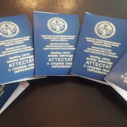 Выпускникам комплекса «Ай Кью» выдали аттестат, - Минобразования