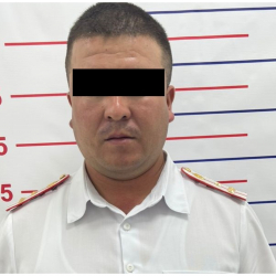 Кайгуул кызматынын башкы инспектору кармалды