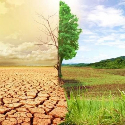 ФОТО - Начались беспорядки. Европа на пороге кризиса из-за дефицита воды