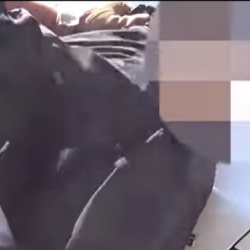 Көк бөрү: Ошко бара жаткан жарандарды сабаган шектүүлөр кармалды