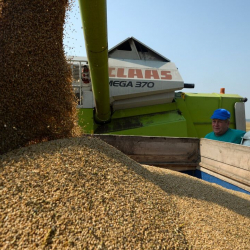 Россия Түркияга бир шарт менен эгин берет