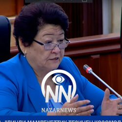 ВИДЕО - Шарапаткан Мажитова: 