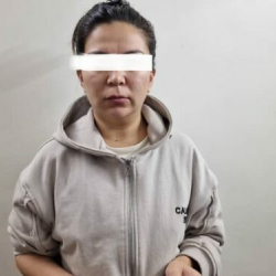 Бишкекте ымыркайын ооруканага таштап, Түркияга качып кетмек болгон аялдын укугу корголот