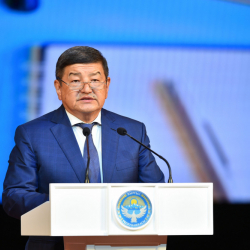 Акылбек Жапаров электр энергиясы боюнча чукул кайрылуу жасады