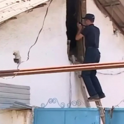 СҮРӨТ - Зордукталып, өлтүрүлгөн 5 жашар кыздын атасы педофилдин үйүн бузууну талап кылууда