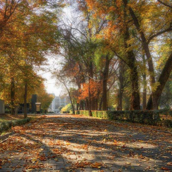 10-сентябрга карата өлкөдөгү аба ырайы