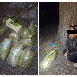 ВИДЕО - Чүйдөгү түзөтүү мекемелеринин бирине баңгизат ыргыткан жаран кармалды