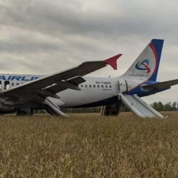 Стала известна причина посадки самолета в поле под Новосибирском