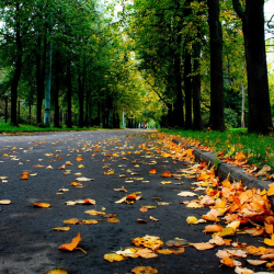 12-сентябрга карата аба ырайы тууралуу маалымат