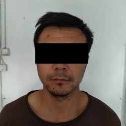 Токтогулда атына 2 мүшөк баӊгизат артып келе жаткан жаран кармалды