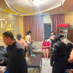 СҮРӨТ - Түн оокумда 43 сойку кармалды