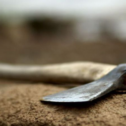 Таласта күйөөсүн балталап өлтүргөн аялга сот өкүм чыгарды