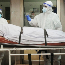 В Индии зафиксировали вспышку смертельного вируса Нипах, от которого нет лекарства