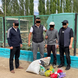 СҮРӨТ - Талас облусунда баңгизаттарды сатуу каналына бөгөт коюлду