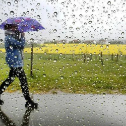 21-сентябрга карата өлкөдөгү аба ырайы