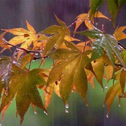 24-сентябрга карата өлкөдөгү аба ырайы