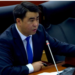 Жанар Акаев: 