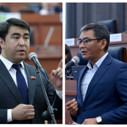 Жанар Акаев менен Мирлан Самыйкожо экөөнүн кимиси туура ой жүгүртүп жатат?