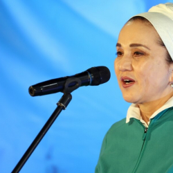 Дамира Низалиева качан кылмыш жоопкерчилигине тартылат?