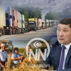 Аскарбек Жаныбеков айыл чарба тармагын итке мингизди