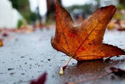 6-октябрга карата өлкөдөгү аба ырайы