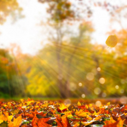 12-октябрга карата өлкөдөгү аба ырайы