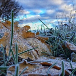 Кыргызстанда үшүк жүрүшү күтүлөт