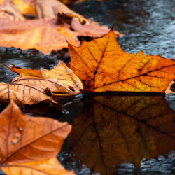 13-октябрга карата аба ырайы