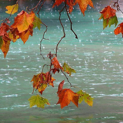 14-октябрга карата аба ырайы