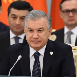 Өзбекстандын президенти Мирзиёев чакырык салды