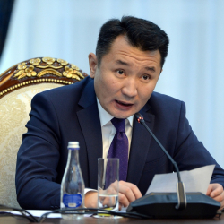 Белгилүү тележурналист журналисттер тууралуу өз чындыгын айтты