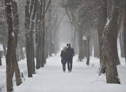 В Нарынской области выпал снег
