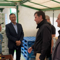 Британия өкмөтү кыргыз мигранттарына атайын долбоор иштеп чыгат