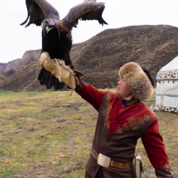 Краснокнижных соколов балобанов выпустили на волю в Кыргызстане