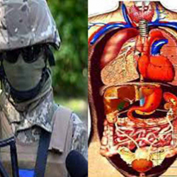 Өлгөн жоокерлердин ички органдарынан пайда тапкандар