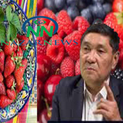 Айыл чарба министрлиги Суу ресурстары жана айыл чарба министрлиги болуп өзгөрөт